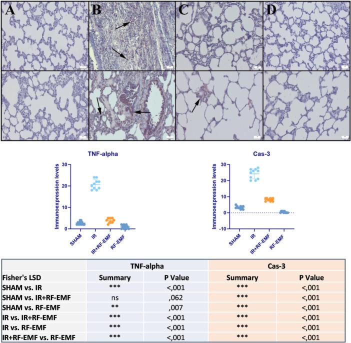 https://cdn.ncbi.nlm.nih.gov/pmc/blobs/9149/12133609/bc57e6820867/PUL2-15-e70051-g006.jpg