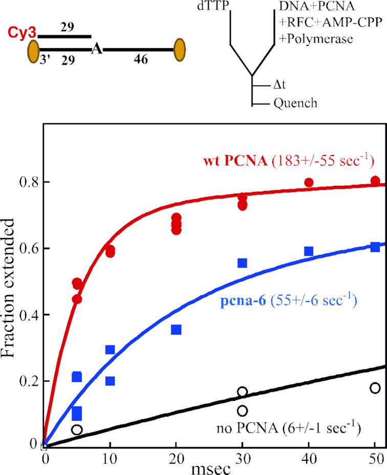 https://cdn.ncbi.nlm.nih.gov/pmc/blobs/914a/6393303/18f20b4c7aa1/gky1321fig5.jpg