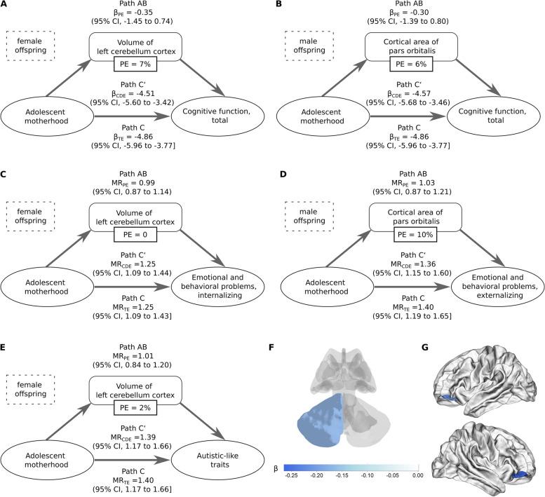 https://cdn.ncbi.nlm.nih.gov/pmc/blobs/914c/11155128/d3d238895632/12916_2024_3442_Fig3_HTML.jpg
