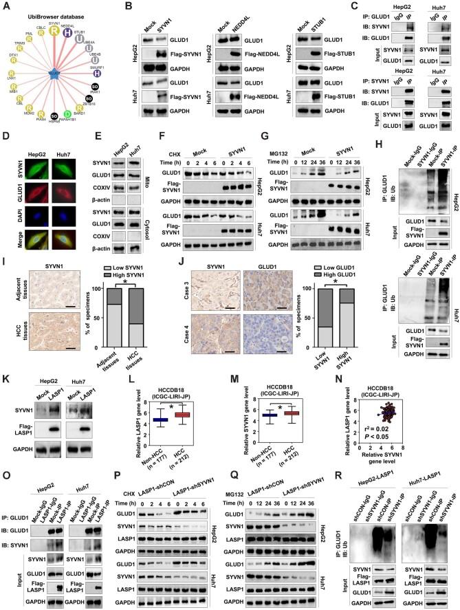 https://cdn.ncbi.nlm.nih.gov/pmc/blobs/914d/11440430/7448388c3e66/mjae014fig5.jpg