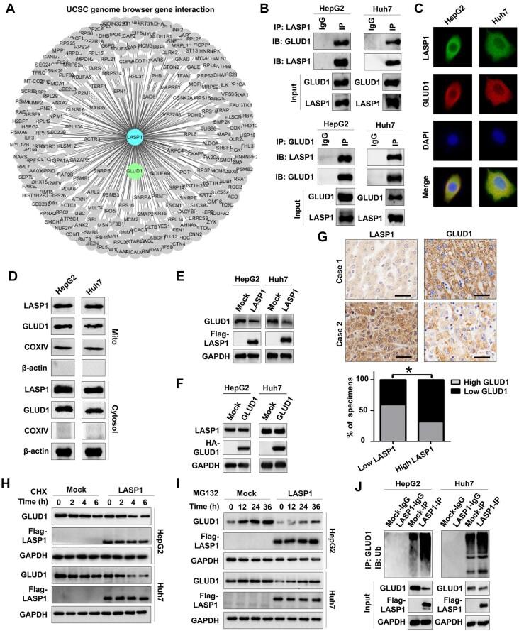 https://cdn.ncbi.nlm.nih.gov/pmc/blobs/914d/11440430/79923db98ad5/mjae014fig4.jpg