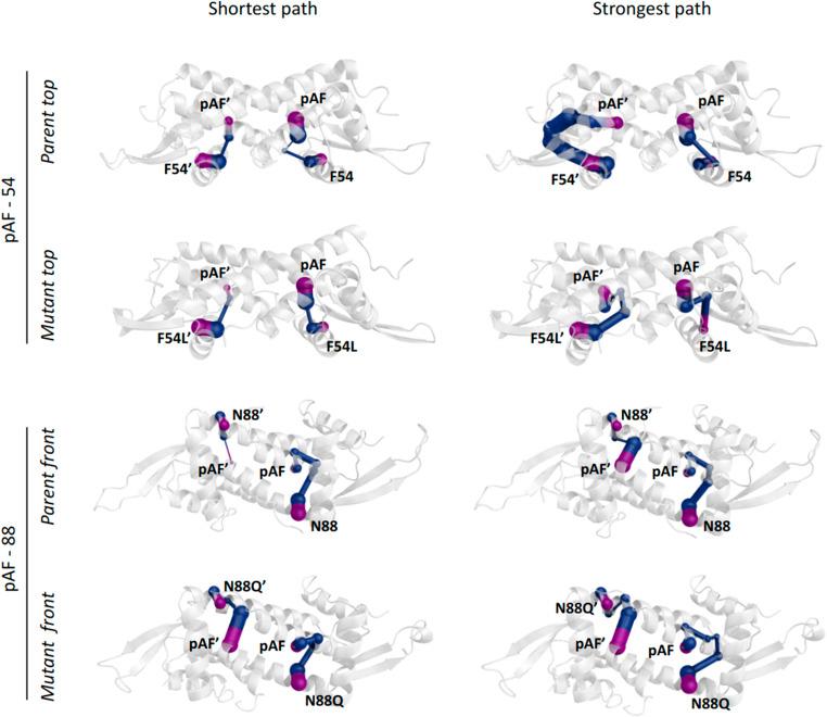 https://cdn.ncbi.nlm.nih.gov/pmc/blobs/914e/11389854/1e4d04475b30/d4fd00069b-f4.jpg
