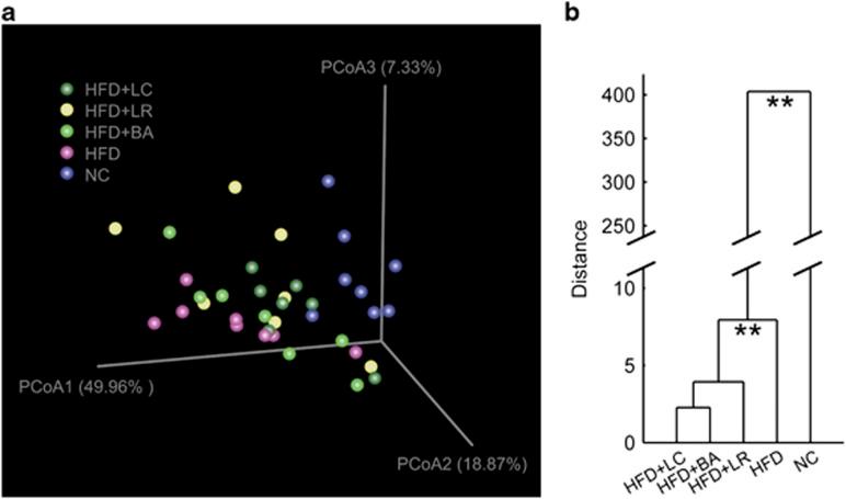 https://cdn.ncbi.nlm.nih.gov/pmc/blobs/914e/4274436/c258290b1069/ismej201499f3.jpg