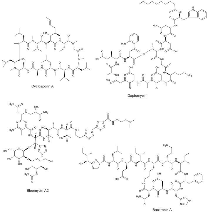 https://cdn.ncbi.nlm.nih.gov/pmc/blobs/914e/5702503/6a70c54a1b8a/fphar-08-00828-g0001.jpg