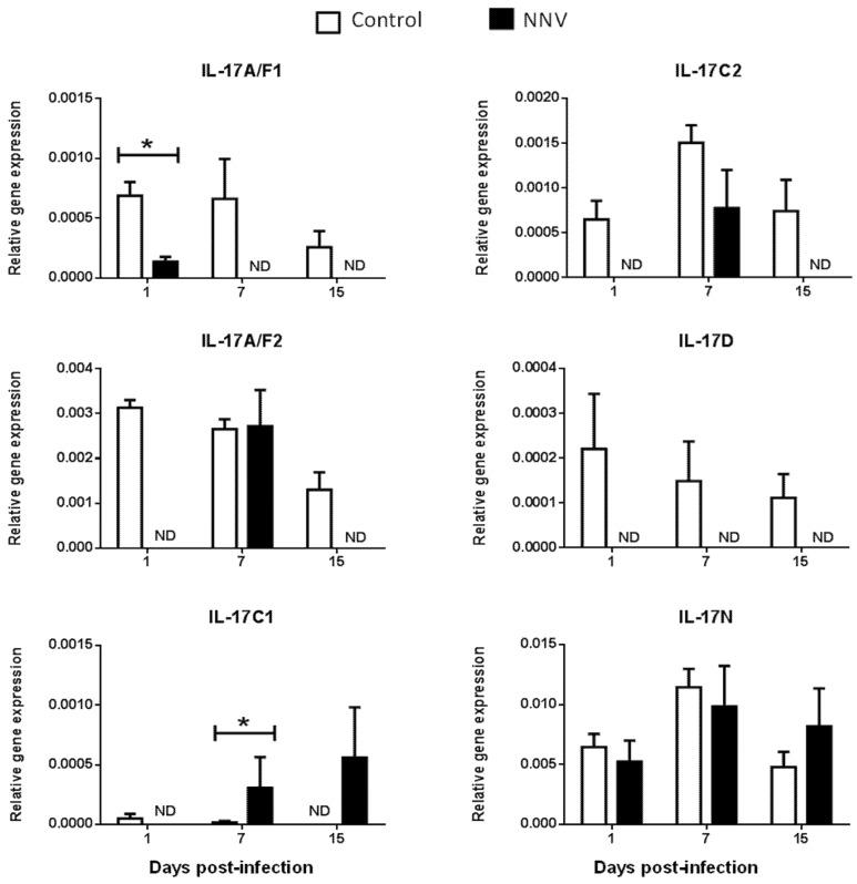 https://cdn.ncbi.nlm.nih.gov/pmc/blobs/914f/7178287/84c7a1338e78/ijms-21-02439-g004.jpg