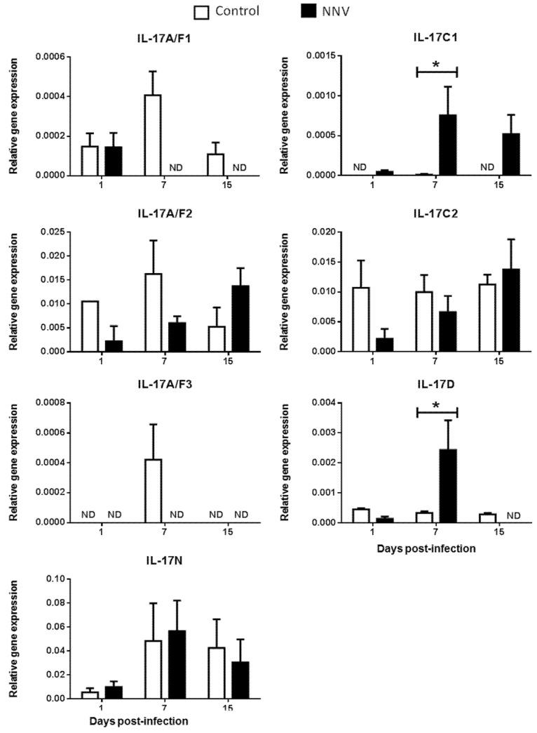 https://cdn.ncbi.nlm.nih.gov/pmc/blobs/914f/7178287/ebf7ec9860d1/ijms-21-02439-g005.jpg
