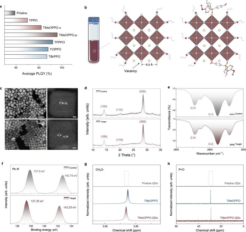 https://cdn.ncbi.nlm.nih.gov/pmc/blobs/9155/12405565/11542837c2ff/41467_2025_63684_Fig2_HTML.jpg