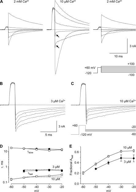 https://cdn.ncbi.nlm.nih.gov/pmc/blobs/9156/2483336/058fd136cbab/jgp1320223f06.jpg