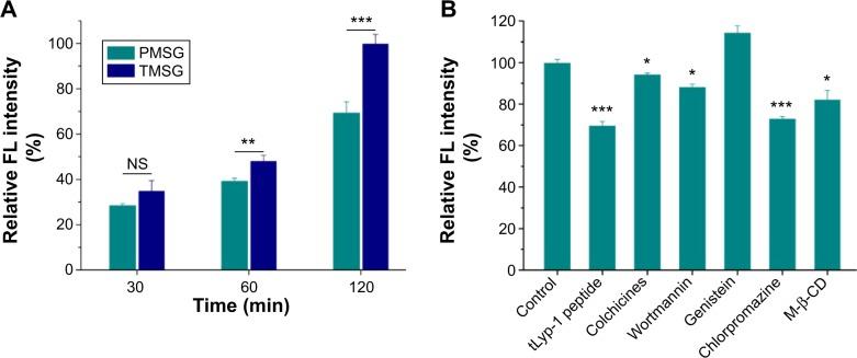 https://cdn.ncbi.nlm.nih.gov/pmc/blobs/9157/4524460/02da81099827/ijn-10-4747Fig8.jpg