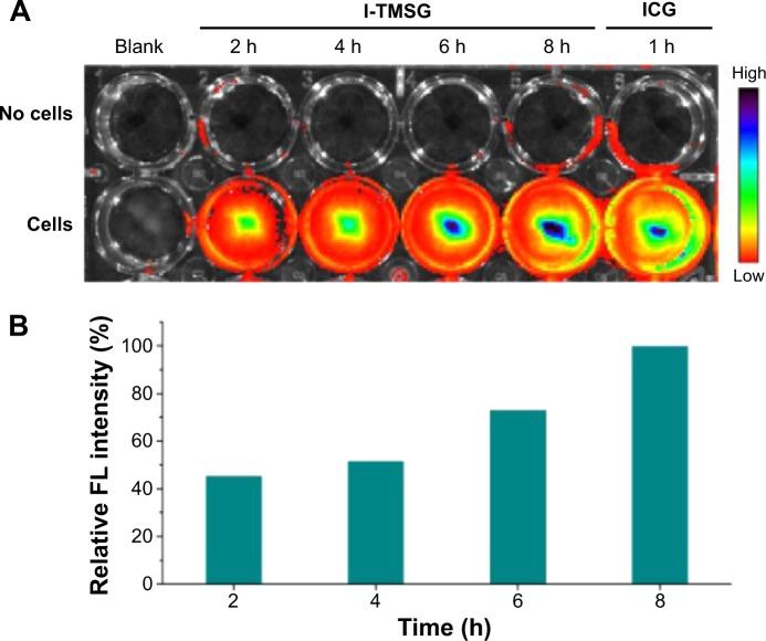 https://cdn.ncbi.nlm.nih.gov/pmc/blobs/9157/4524460/1e1cd14bd9a5/ijn-10-4747Fig6.jpg