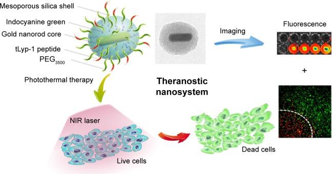 https://cdn.ncbi.nlm.nih.gov/pmc/blobs/9157/4524460/4126d681f809/ijn-10-4747Fig1.jpg