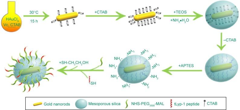 https://cdn.ncbi.nlm.nih.gov/pmc/blobs/9157/4524460/5c4ba9efc4af/ijn-10-4747Fig2.jpg