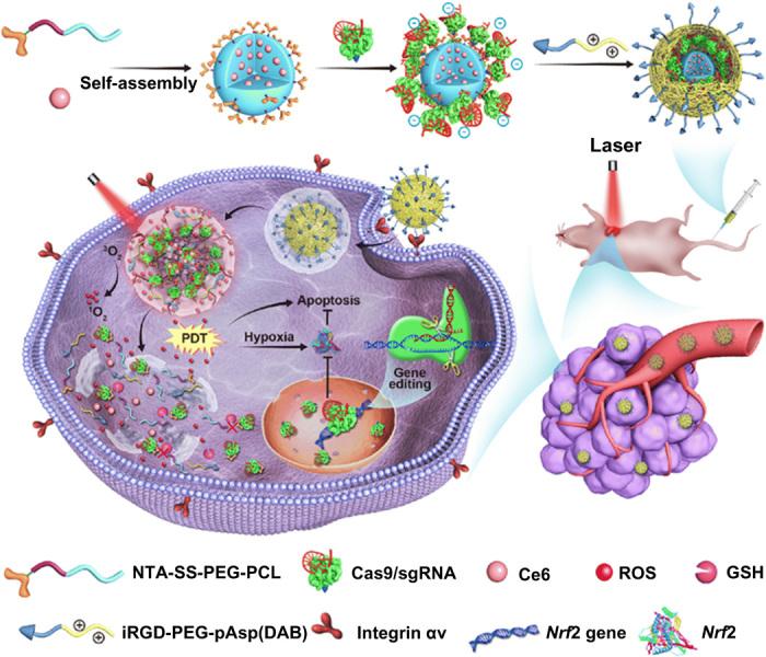 https://cdn.ncbi.nlm.nih.gov/pmc/blobs/9158/7439618/2a7c572a76e6/abb4005-F1.jpg