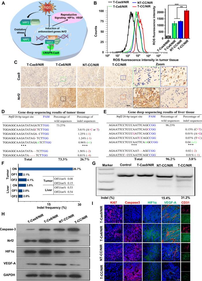 https://cdn.ncbi.nlm.nih.gov/pmc/blobs/9158/7439618/d381d961d86c/abb4005-F6.jpg