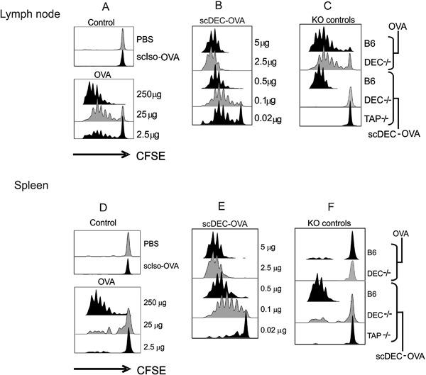 https://cdn.ncbi.nlm.nih.gov/pmc/blobs/915a/6485703/b7e2ac797de1/IID3-7-55-g002.jpg