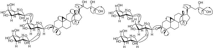 https://cdn.ncbi.nlm.nih.gov/pmc/blobs/915c/6271191/cacc419edf8f/molecules-19-06623-g002.jpg