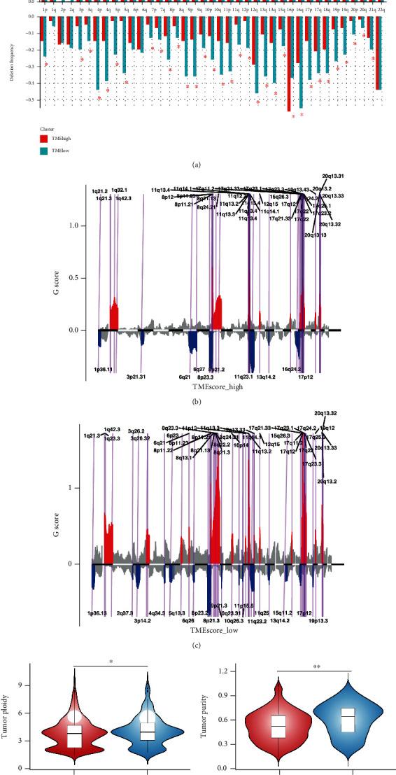 https://cdn.ncbi.nlm.nih.gov/pmc/blobs/915d/9071896/3f2a64e7c9c0/BMRI2022-5673810.004.jpg