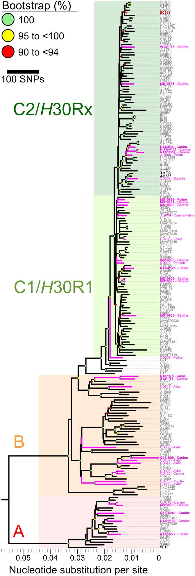 https://cdn.ncbi.nlm.nih.gov/pmc/blobs/9161/7492567/4cbb51bd6534/fmicb-11-01968-g002.jpg