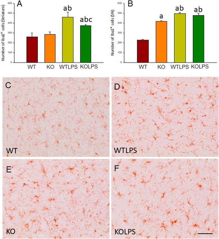 https://cdn.ncbi.nlm.nih.gov/pmc/blobs/9163/8416309/4b65b3ec7a9f/fphar-12-706439-g003.jpg