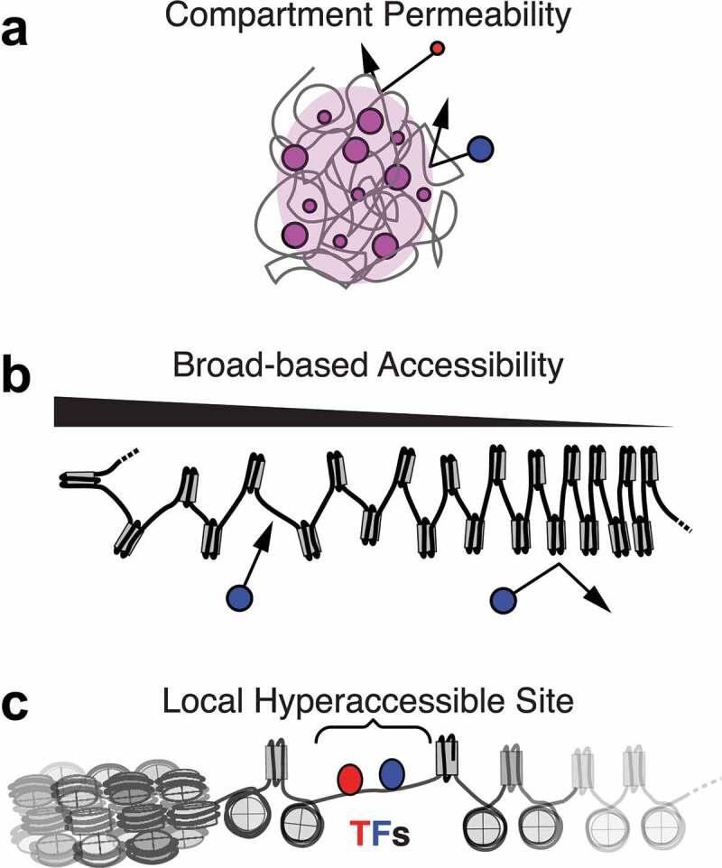 https://cdn.ncbi.nlm.nih.gov/pmc/blobs/9163/9683059/b127b3c9787d/KNCL_A_2143106_F0001_OC.jpg
