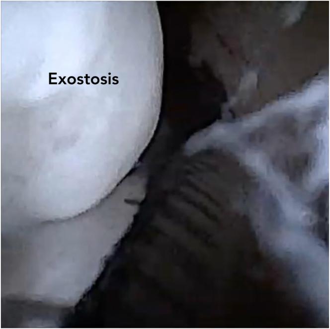 https://cdn.ncbi.nlm.nih.gov/pmc/blobs/9164/12125998/6c999c5a0969/gr5.jpg
