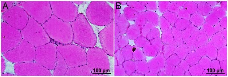 https://cdn.ncbi.nlm.nih.gov/pmc/blobs/9164/3760810/7bc8862bd05d/pone.0073573.g008.jpg