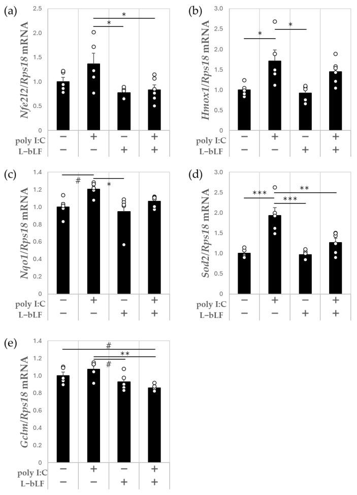 https://cdn.ncbi.nlm.nih.gov/pmc/blobs/9165/11944617/19d7bff983e5/neurosci-06-00019-g004.jpg
