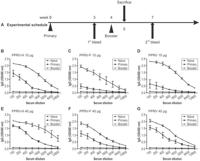 https://cdn.ncbi.nlm.nih.gov/pmc/blobs/9166/4130610/1084ba856c27/pone.0104791.g004.jpg