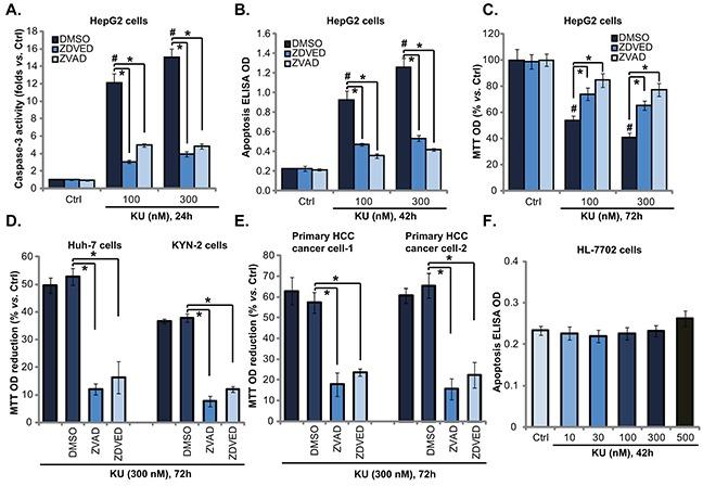 https://cdn.ncbi.nlm.nih.gov/pmc/blobs/9166/4941370/f139d0b7e679/oncotarget-07-17047-g002.jpg