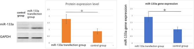 https://cdn.ncbi.nlm.nih.gov/pmc/blobs/9167/11844181/3ab085c04882/13019_2025_3367_Fig1_HTML.jpg