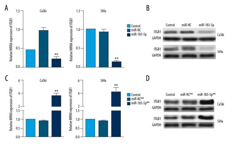 https://cdn.ncbi.nlm.nih.gov/pmc/blobs/9168/6190727/fa4ee3fad468/medscimonit-24-7137-g005.jpg