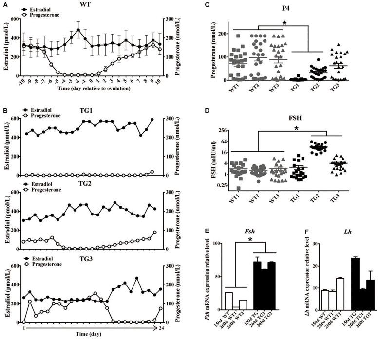 https://cdn.ncbi.nlm.nih.gov/pmc/blobs/9168/6877722/59ed61d4b036/fcell-07-00286-g002.jpg