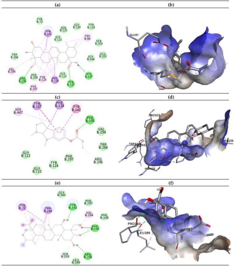 https://cdn.ncbi.nlm.nih.gov/pmc/blobs/9168/7436049/d9343a4495e7/molecules-25-03353-g003.jpg