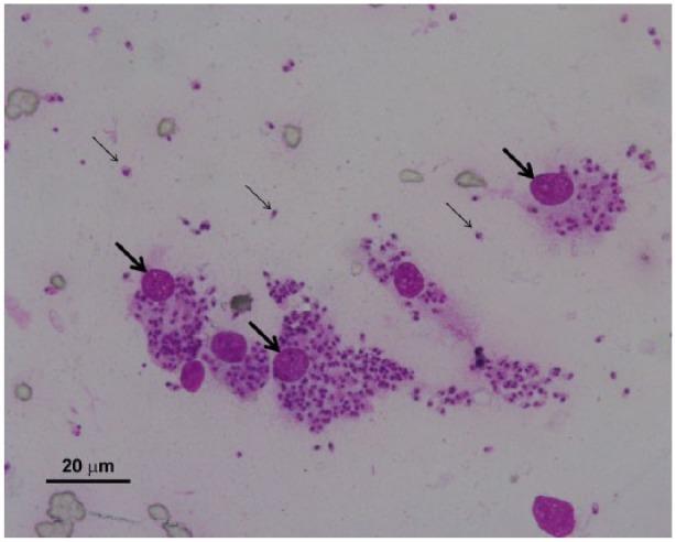 https://cdn.ncbi.nlm.nih.gov/pmc/blobs/916a/5362848/518f9a737644/10.1177_2055116916630002-fig3.jpg