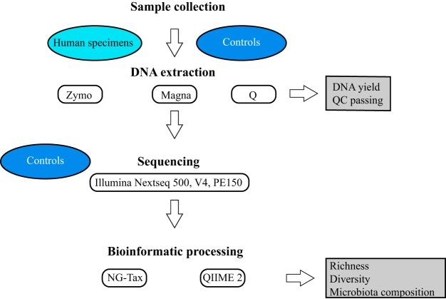 https://cdn.ncbi.nlm.nih.gov/pmc/blobs/916d/7018525/6352750d09c0/mSystems.00547-19-f0001.jpg