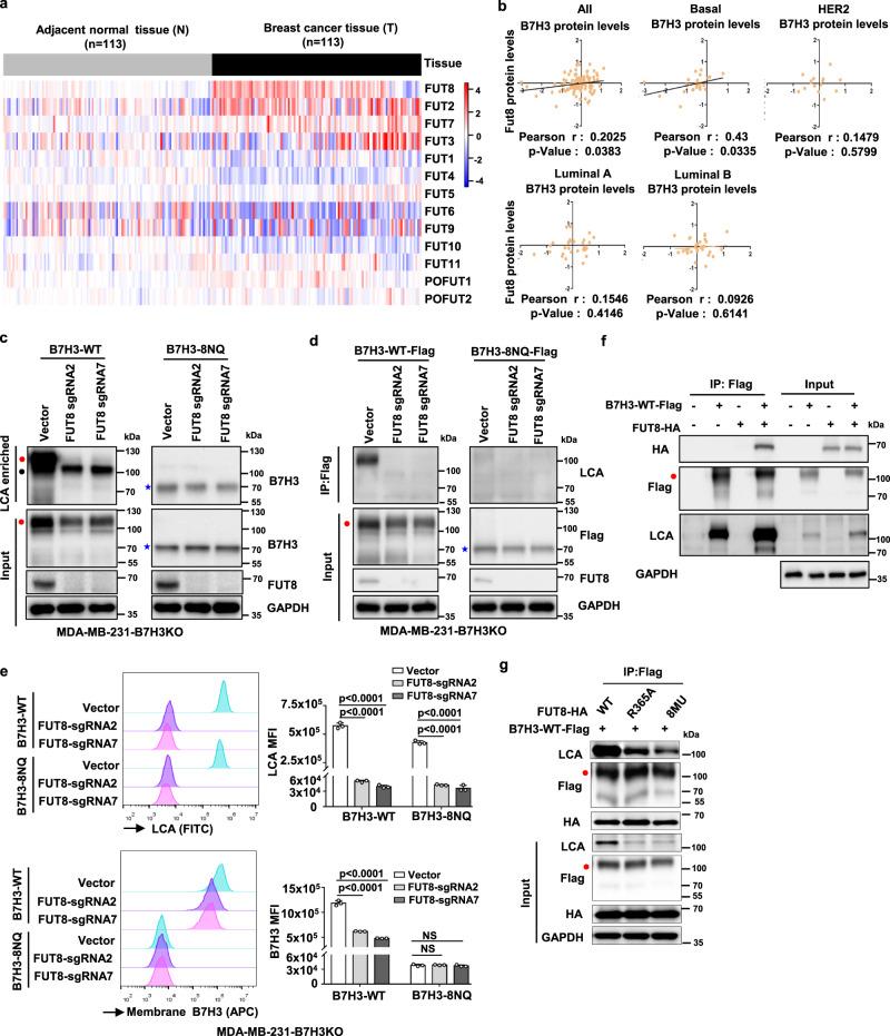 https://cdn.ncbi.nlm.nih.gov/pmc/blobs/916d/8113546/22616c37af36/41467_2021_22618_Fig5_HTML.jpg