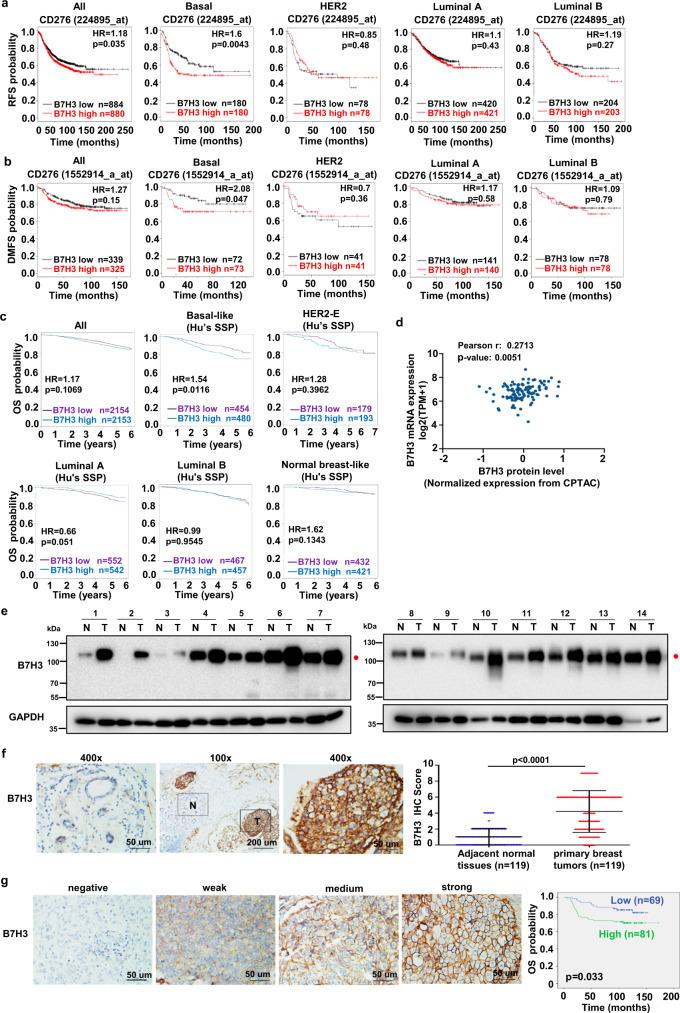 https://cdn.ncbi.nlm.nih.gov/pmc/blobs/916d/8113546/5ffd22502734/41467_2021_22618_Fig1_HTML.jpg