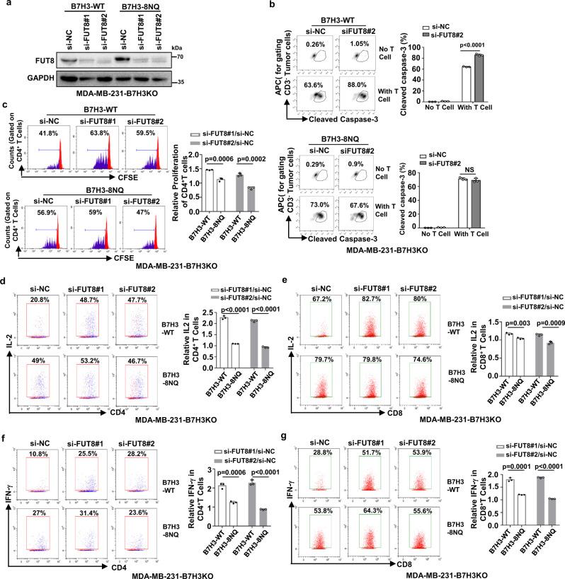 https://cdn.ncbi.nlm.nih.gov/pmc/blobs/916d/8113546/ba603376d4da/41467_2021_22618_Fig6_HTML.jpg
