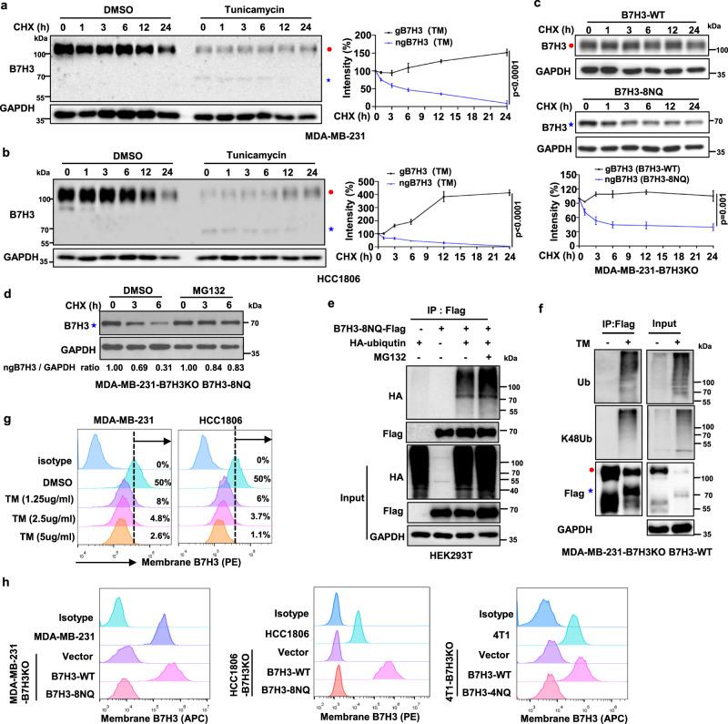 https://cdn.ncbi.nlm.nih.gov/pmc/blobs/916d/8113546/cab0f2c6dfc3/41467_2021_22618_Fig3_HTML.jpg