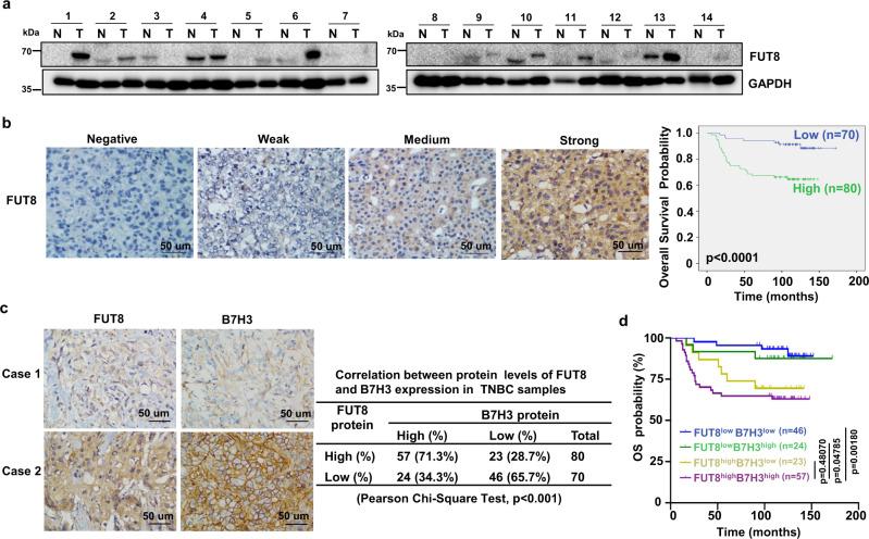https://cdn.ncbi.nlm.nih.gov/pmc/blobs/916d/8113546/cdddcf319963/41467_2021_22618_Fig7_HTML.jpg