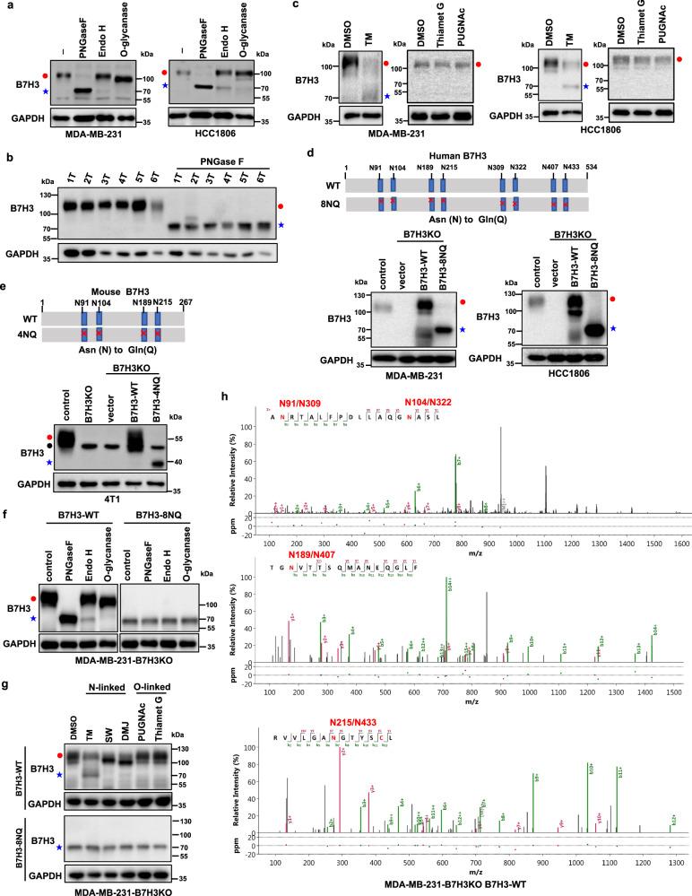 https://cdn.ncbi.nlm.nih.gov/pmc/blobs/916d/8113546/ee8a2e0c12a0/41467_2021_22618_Fig2_HTML.jpg