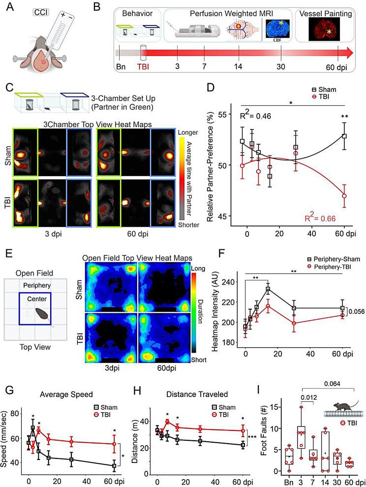 https://cdn.ncbi.nlm.nih.gov/pmc/blobs/916f/11304659/553c0486fac8/40478_2024_1840_Fig1_HTML.jpg