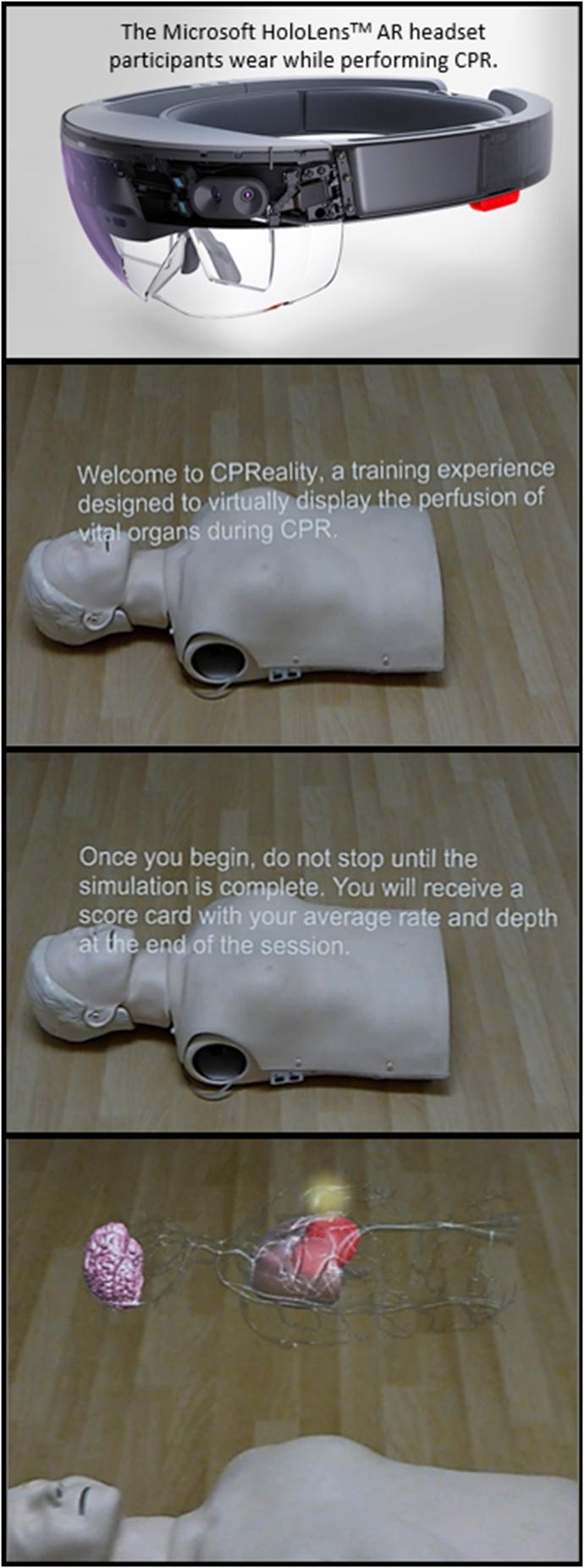 https://cdn.ncbi.nlm.nih.gov/pmc/blobs/916f/6684477/ad8e418fd2f5/gr1.jpg