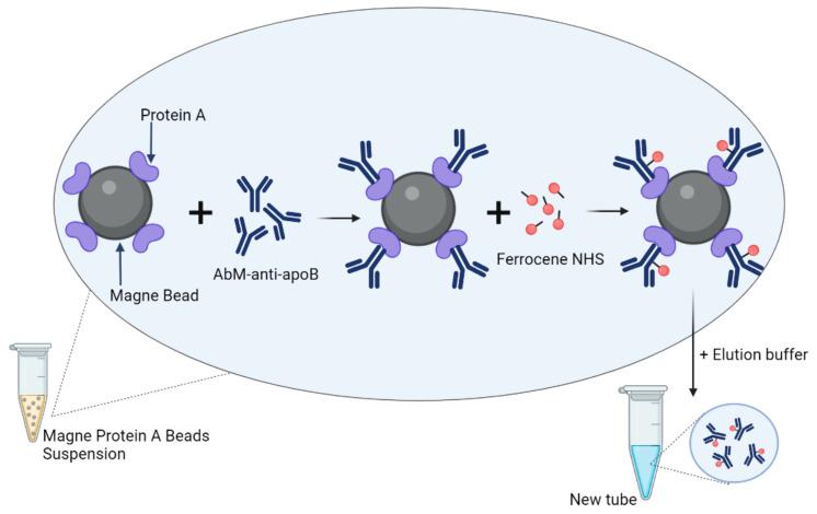 https://cdn.ncbi.nlm.nih.gov/pmc/blobs/916f/9458124/c411169f2270/molecules-27-05492-sch001.jpg