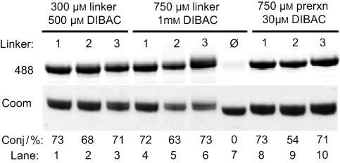 https://cdn.ncbi.nlm.nih.gov/pmc/blobs/9171/3430431/901c9737b1e7/anie0051-4161-f2.jpg