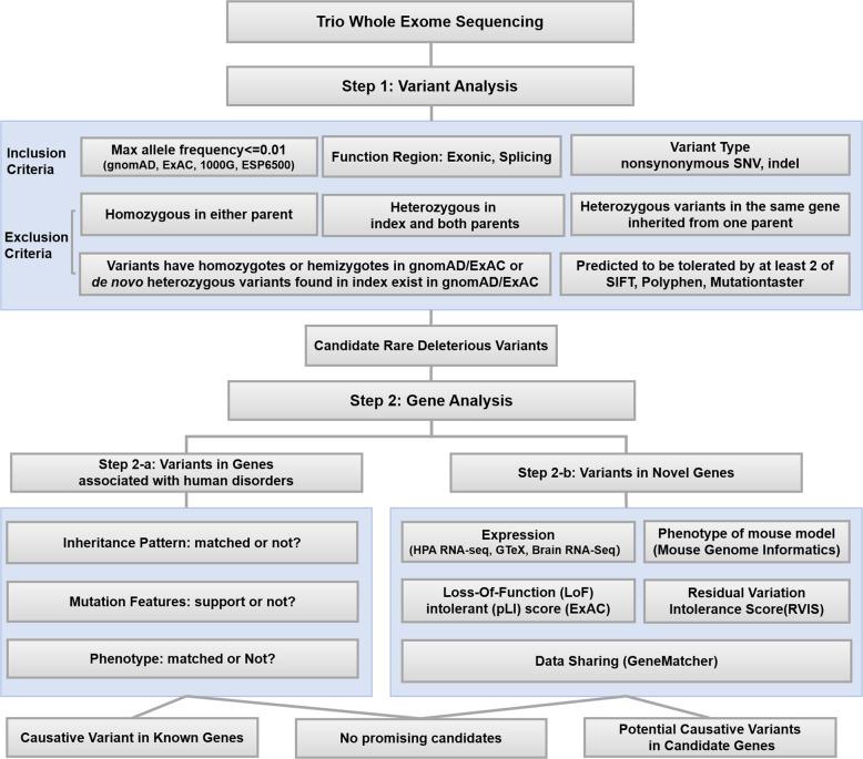 https://cdn.ncbi.nlm.nih.gov/pmc/blobs/9171/8310791/010228cea044/10038_2020_896_Fig1_HTML.jpg