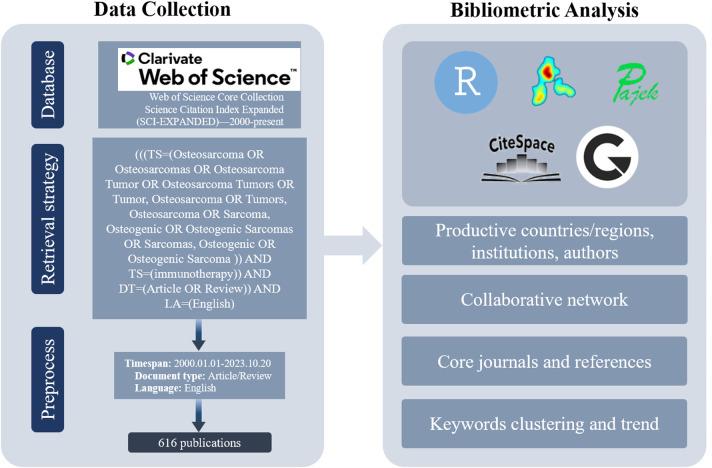 https://cdn.ncbi.nlm.nih.gov/pmc/blobs/9172/11847827/8c3926cd00f6/fimmu-15-1485053-g001.jpg