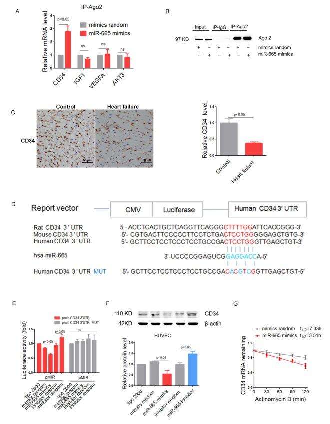 https://cdn.ncbi.nlm.nih.gov/pmc/blobs/9175/6188485/d090f28cdb3e/aging-10-101562-g003.jpg