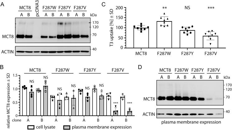 https://cdn.ncbi.nlm.nih.gov/pmc/blobs/917b/12139598/5db3e4377510/ETJ-25-0009fig3.jpg