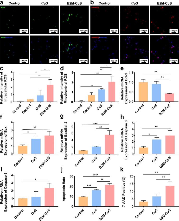 https://cdn.ncbi.nlm.nih.gov/pmc/blobs/917c/10408088/3ab6662b0b4d/12951_2023_2036_Fig5_HTML.jpg